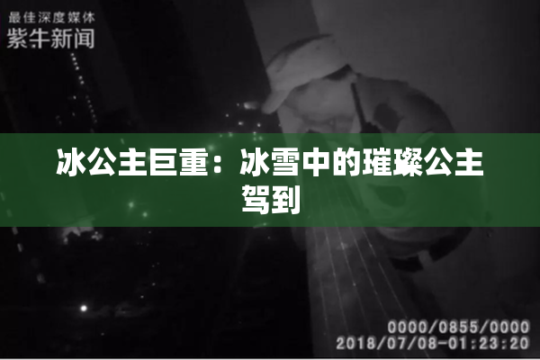 冰公主巨重：冰雪中的璀璨公主驾到