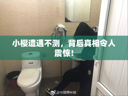 小樱遭遇不测，背后真相令人震惊！