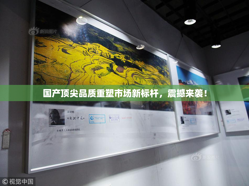 国产顶尖品质重塑市场新标杆，震撼来袭！