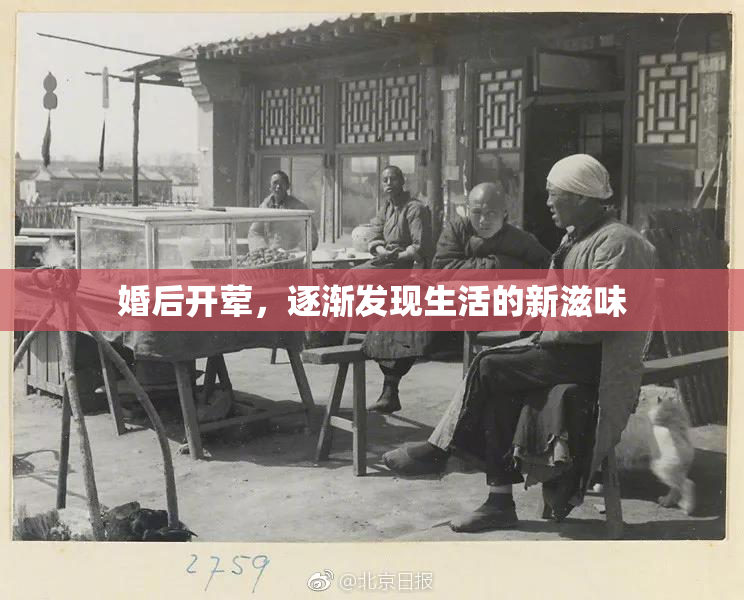 婚后开荤，逐渐发现生活的新滋味