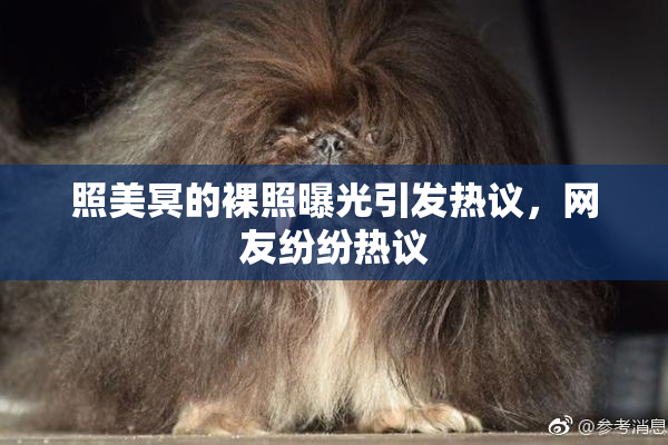 照美冥的裸照曝光引发热议，网友纷纷热议
