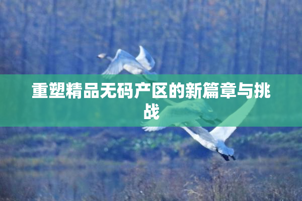 重塑精品无码产区的新篇章与挑战
