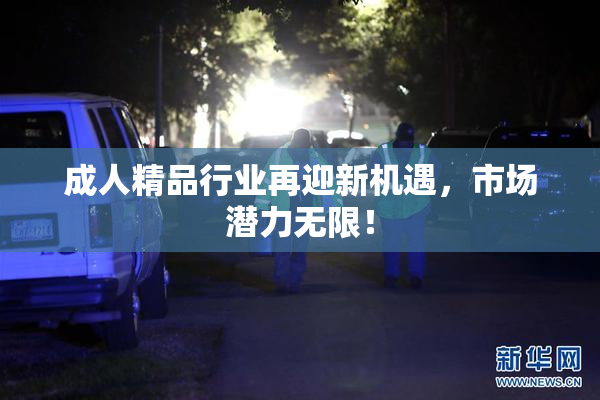成人精品行业再迎新机遇，市场潜力无限！
