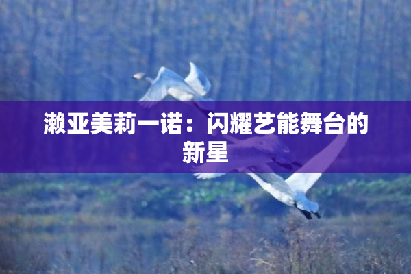 濑亚美莉一诺：闪耀艺能舞台的新星