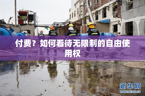付费？如何看待无限制的自由使用权