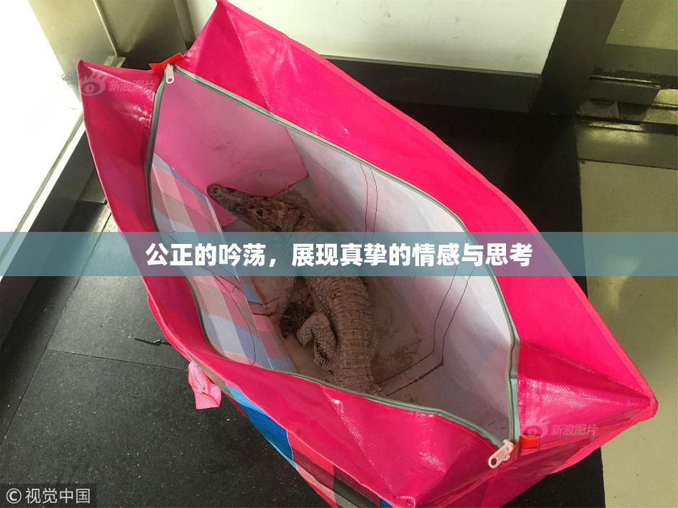 公正的吟荡，展现真挚的情感与思考