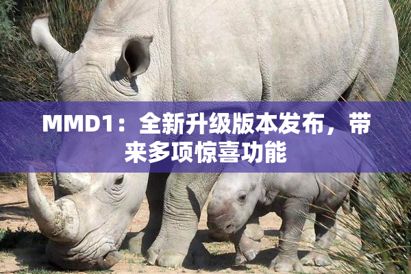 MMD1：全新升级版本发布，带来多项惊喜功能