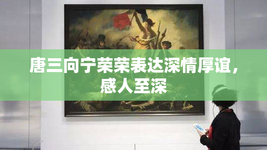 唐三向宁荣荣表达深情厚谊，感人至深