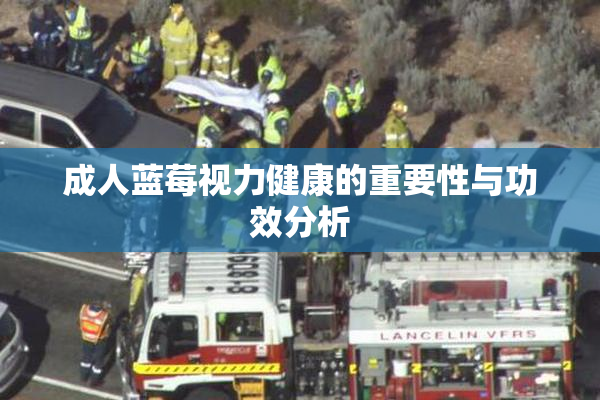 成人蓝莓视力健康的重要性与功效分析