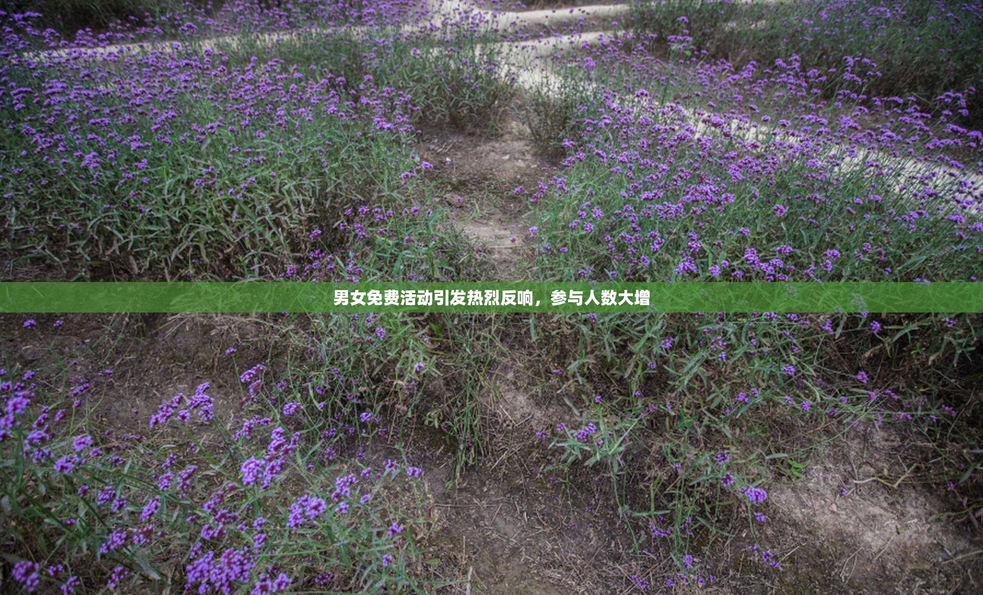 男女免费活动引发热烈反响，参与人数大增