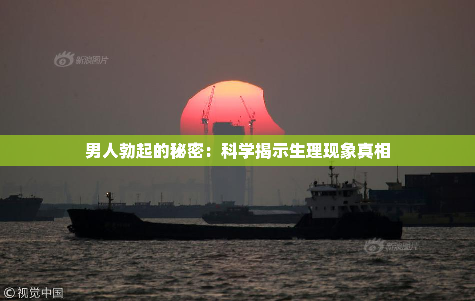 男人勃起的秘密：科学揭示生理现象真相
