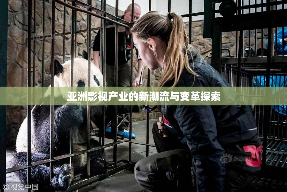亚洲影视产业的新潮流与变革探索