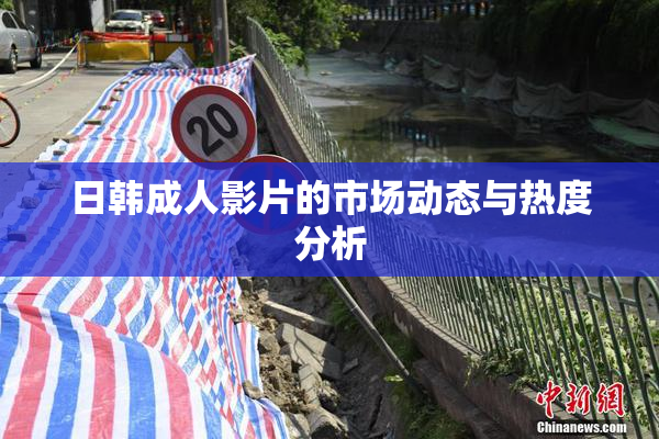 日韩成人影片的市场动态与热度分析