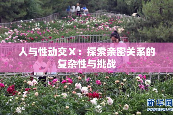 人与性动交Ⅹ：探索亲密关系的复杂性与挑战