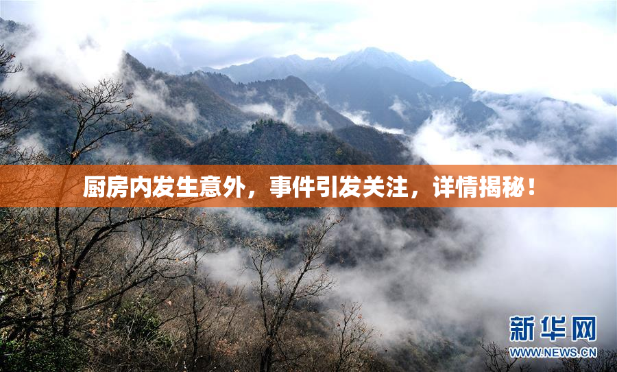 厨房内发生意外，事件引发关注，详情揭秘！