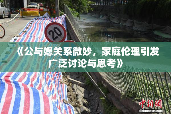 《公与媳关系微妙，家庭伦理引发广泛讨论与思考》