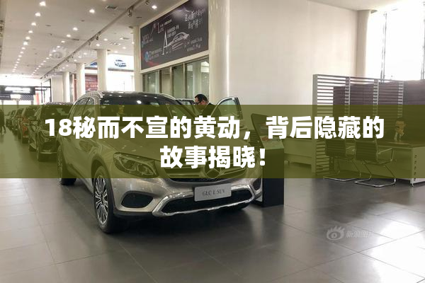 18秘而不宣的黄动，背后隐藏的故事揭晓！
