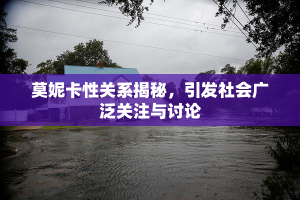 莫妮卡性关系揭秘，引发社会广泛关注与讨论