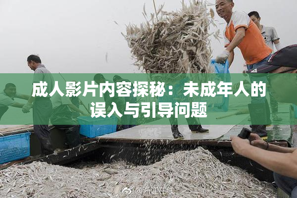 成人影片内容探秘：未成年人的误入与引导问题