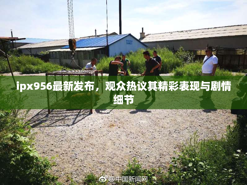 ipx956最新发布，观众热议其精彩表现与剧情细节