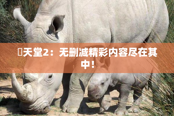 妺天堂2：无删减精彩内容尽在其中！