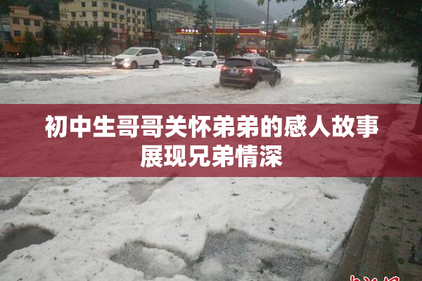 初中生哥哥关怀弟弟的感人故事展现兄弟情深