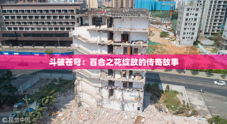 斗破苍穹：百合之花绽放的传奇故事