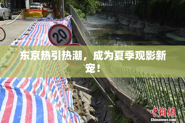 东京热引热潮，成为夏季观影新宠！