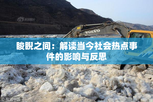 睃睨之间：解读当今社会热点事件的影响与反思