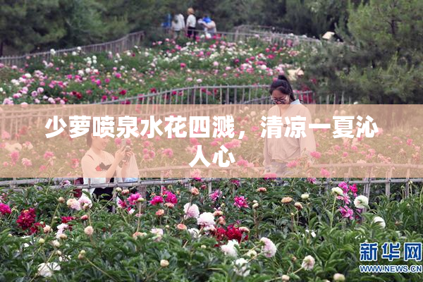 少萝喷泉水花四溅，清凉一夏沁人心
