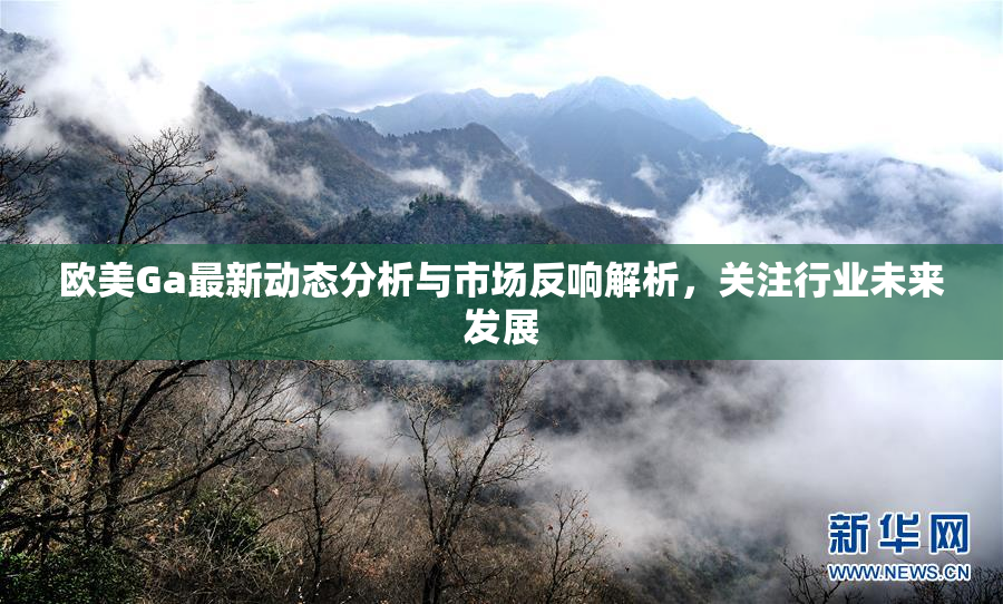 欧美Ga最新动态分析与市场反响解析，关注行业未来发展