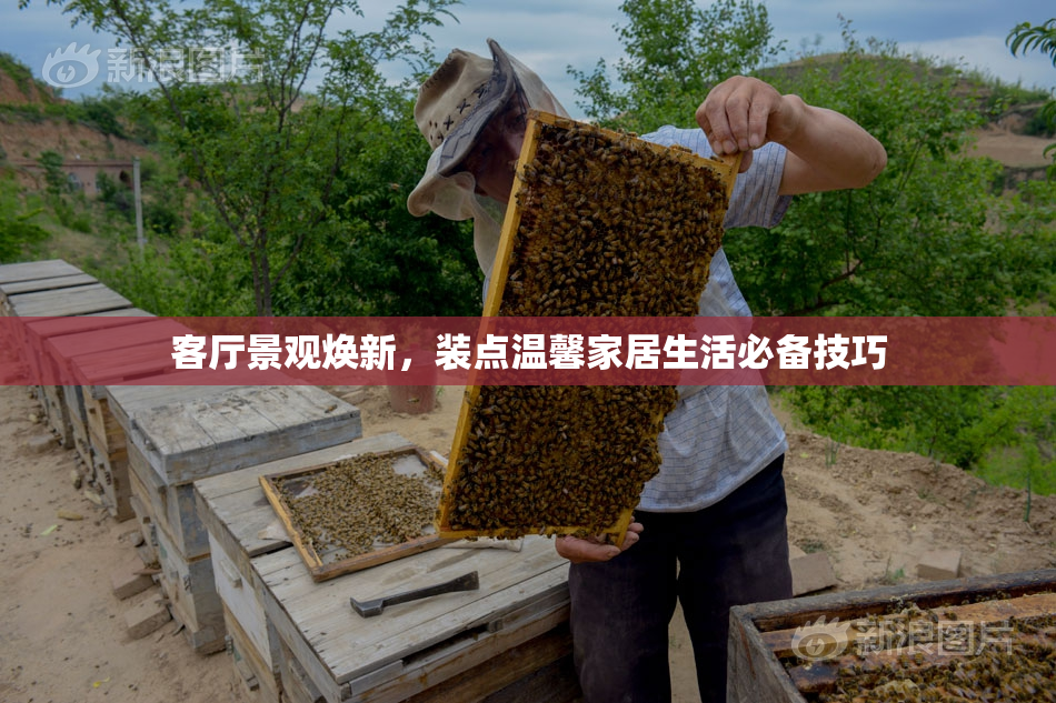 客厅景观焕新，装点温馨家居生活必备技巧