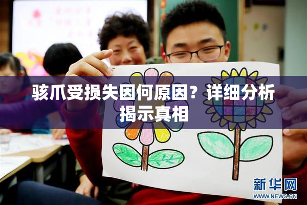 骇爪受损失因何原因？详细分析揭示真相