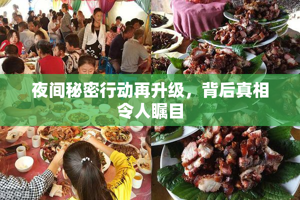 夜间秘密行动再升级，背后真相令人瞩目