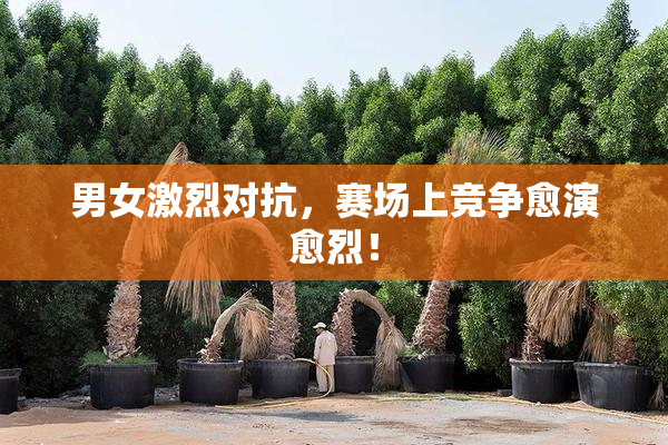 男女激烈对抗，赛场上竞争愈演愈烈！