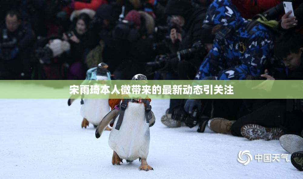 宋雨琦本人微带来的最新动态引关注