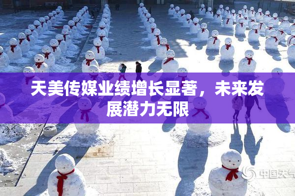 天美传媒业绩增长显著，未来发展潜力无限