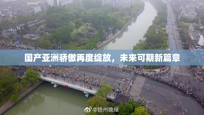 国产亚洲骄傲再度绽放，未来可期新篇章