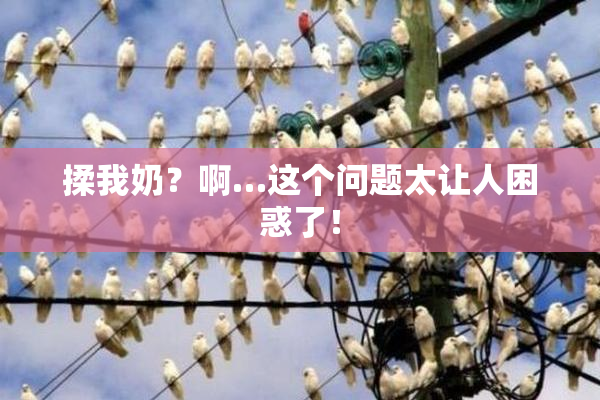 揉我奶？啊…这个问题太让人困惑了！