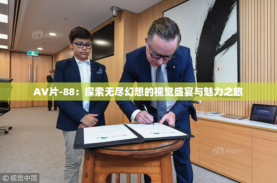 AV片-88：探索无尽幻想的视觉盛宴与魅力之旅