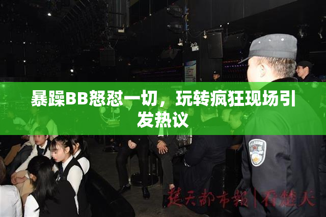 暴躁BB怒怼一切，玩转疯狂现场引发热议