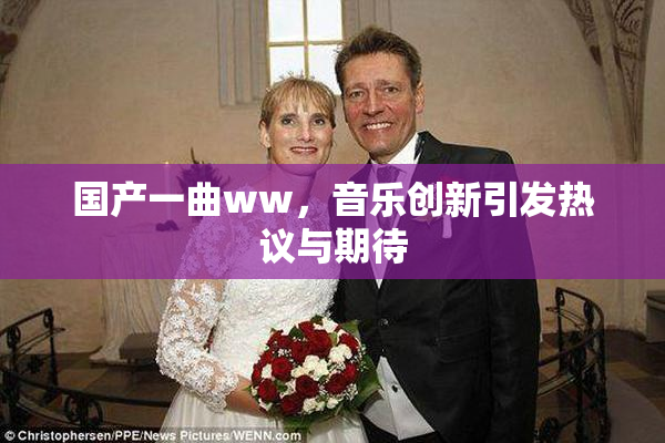 国产一曲ww，音乐创新引发热议与期待