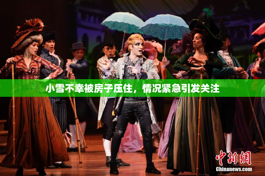 小雪不幸被房子压住，情况紧急引发关注