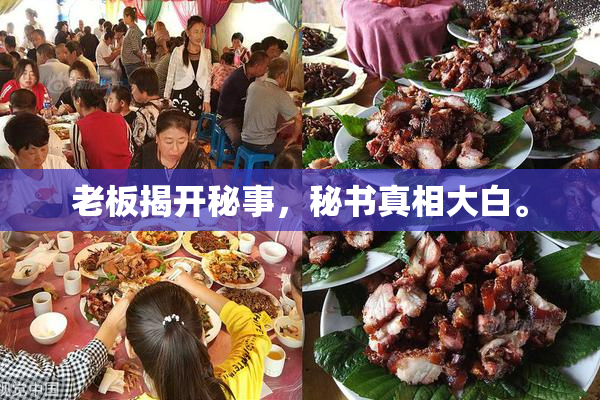老板揭开秘事，秘书真相大白。