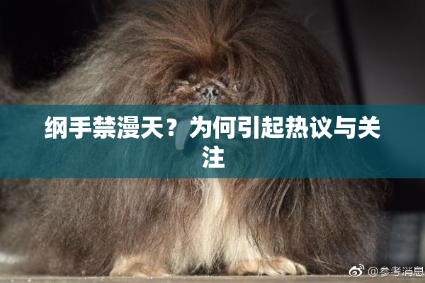 纲手禁漫天？为何引起热议与关注