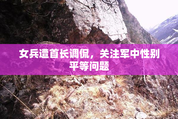 女兵遭首长调侃，关注军中性别平等问题