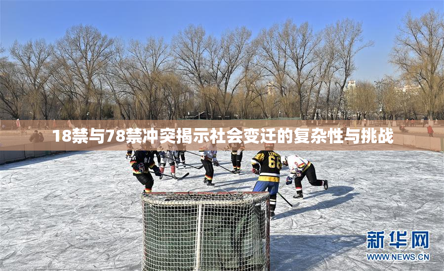 18禁与78禁冲突揭示社会变迁的复杂性与挑战
