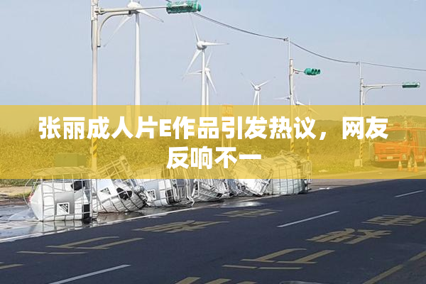 张丽成人片E作品引发热议，网友反响不一