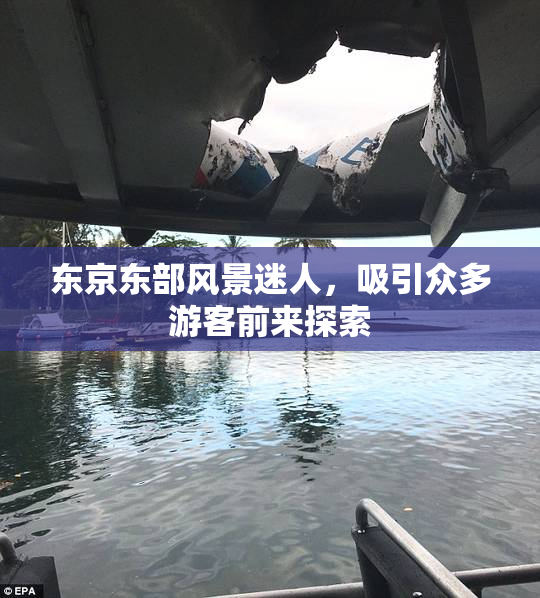 东京东部风景迷人，吸引众多游客前来探索