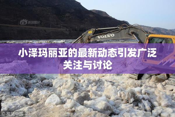 小泽玛丽亚的最新动态引发广泛关注与讨论